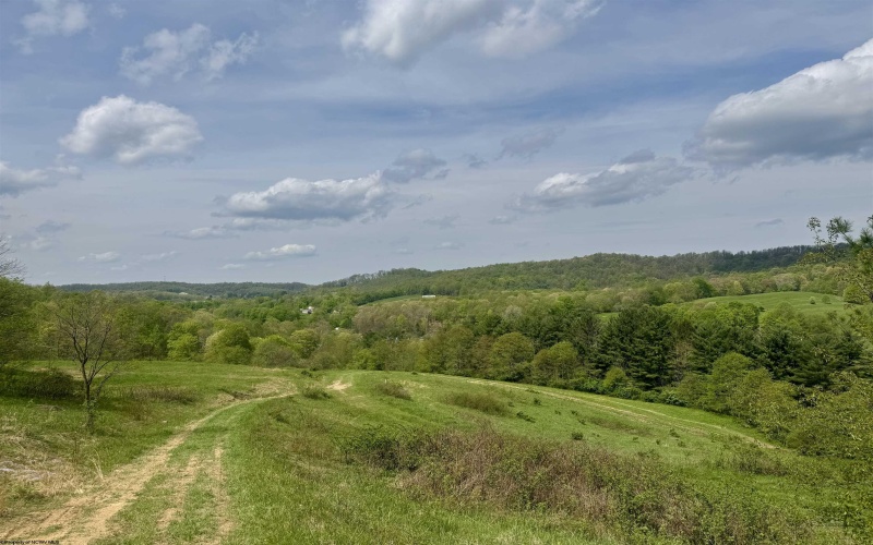 1062 Nestorville Road, Philippi, West Virginia 26416, ,Lots/land,For Sale,Nestorville,10159429