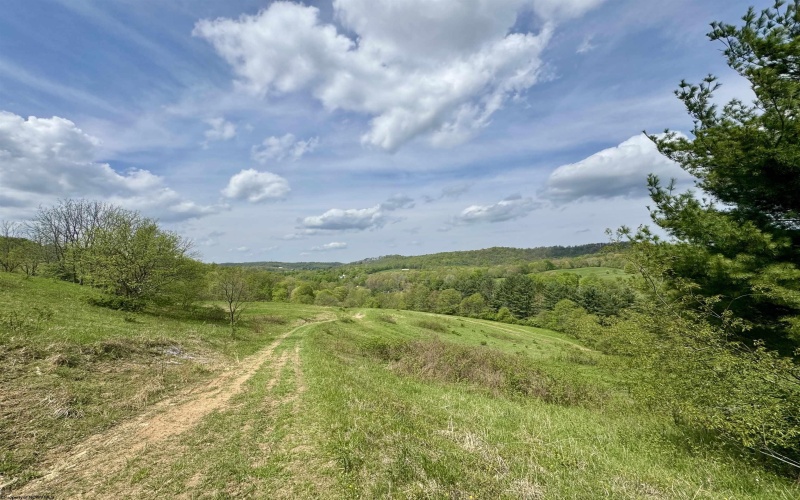 1062 Nestorville Road, Philippi, West Virginia 26416, ,Lots/land,For Sale,Nestorville,10159429