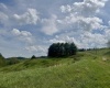 1062 Nestorville Road, Philippi, West Virginia 26416, ,Lots/land,For Sale,Nestorville,10159429