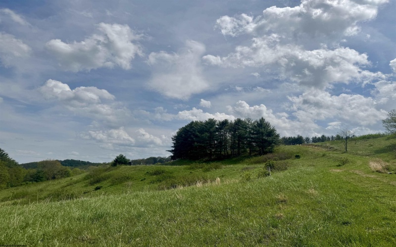 1062 Nestorville Road, Philippi, West Virginia 26416, ,Lots/land,For Sale,Nestorville,10159429