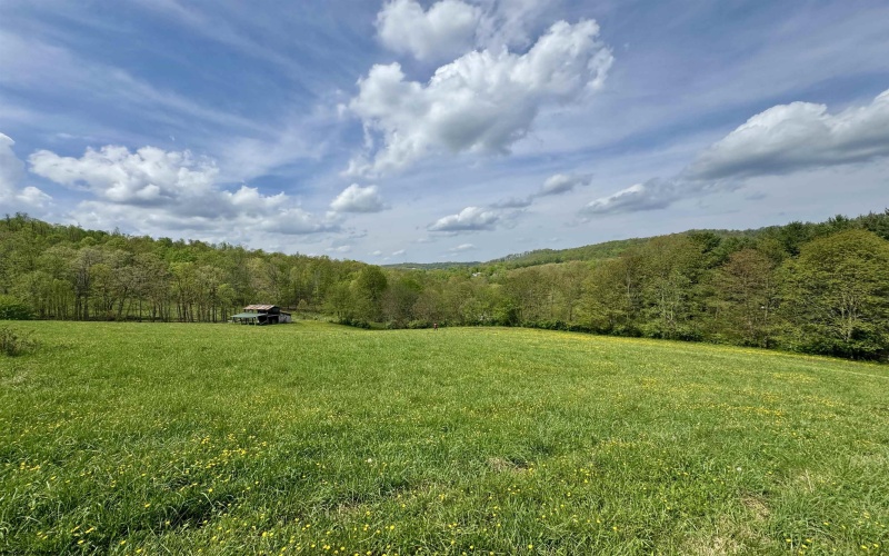 1062 Nestorville Road, Philippi, West Virginia 26416, ,Lots/land,For Sale,Nestorville,10159429