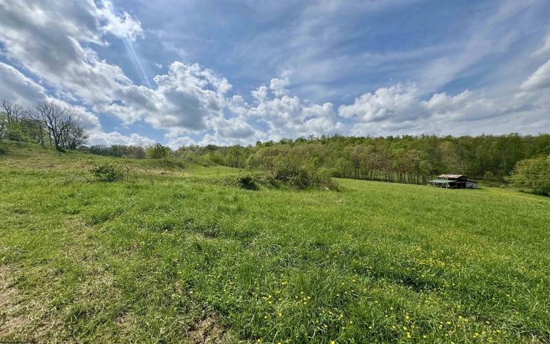 1062 Nestorville Road, Philippi, West Virginia 26416, ,Lots/land,For Sale,Nestorville,10159429