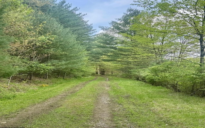 1062 Nestorville Road, Philippi, West Virginia 26416, ,Lots/land,For Sale,Nestorville,10159429