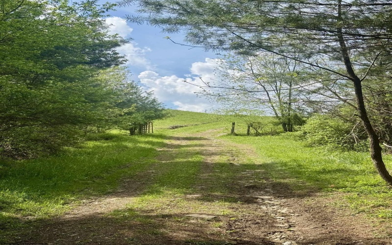 1062 Nestorville Road, Philippi, West Virginia 26416, ,Lots/land,For Sale,Nestorville,10159429