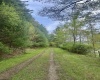 1062 Nestorville Road, Philippi, West Virginia 26416, ,Lots/land,For Sale,Nestorville,10159429