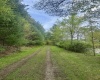 1062 Nestorville Road, Philippi, West Virginia 26416, ,Lots/land,For Sale,Nestorville,10159429