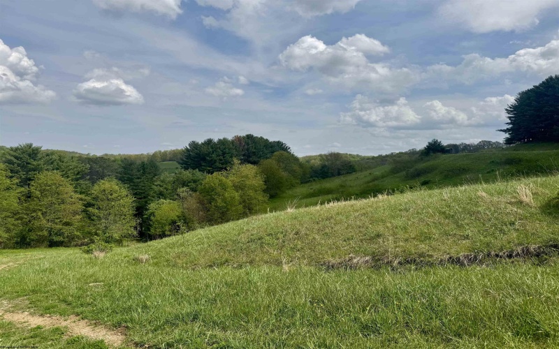 1062 Nestorville Road, Philippi, West Virginia 26416, ,Lots/land,For Sale,Nestorville,10159429