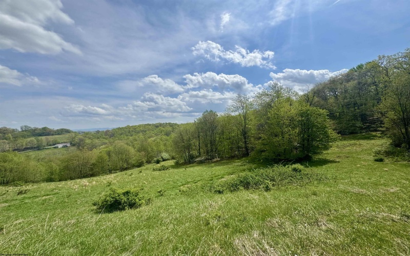 1062 Nestorville Road, Philippi, West Virginia 26416, ,Lots/land,For Sale,Nestorville,10159429