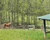 1062 Nestorville Road, Philippi, West Virginia 26416, ,Lots/land,For Sale,Nestorville,10159429