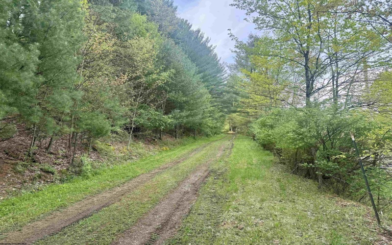 1062 Nestorville Road, Philippi, West Virginia 26416, ,Lots/land,For Sale,Nestorville,10159429