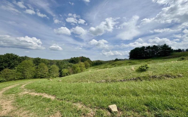 1062 Nestorville Road, Philippi, West Virginia 26416, ,Lots/land,For Sale,Nestorville,10159429
