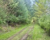 1062 Nestorville Road, Philippi, West Virginia 26416, ,Lots/land,For Sale,Nestorville,10159429