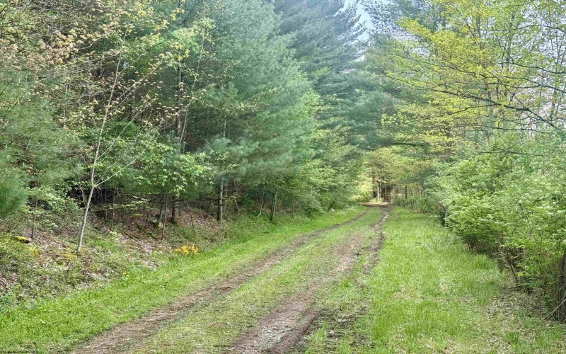 1062 Nestorville Road, Philippi, West Virginia 26416, ,Lots/land,For Sale,Nestorville,10159429