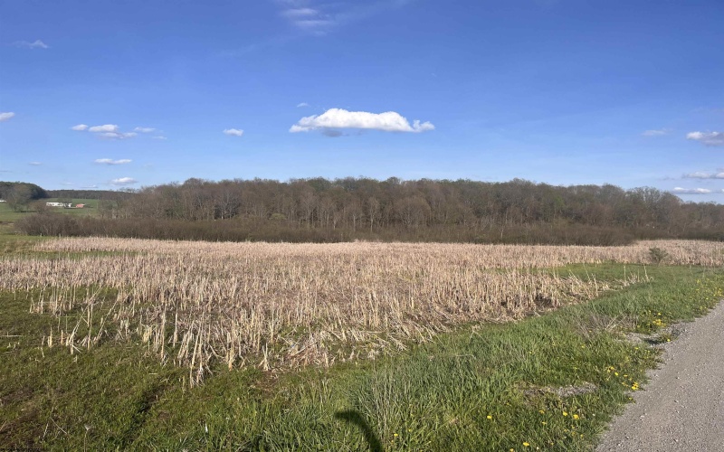 34 Meadow Lark Drive, Bruceton Mills, West Virginia 26525, ,Lots/land,For Sale,Meadow Lark,10159442