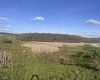 34 Meadow Lark Drive, Bruceton Mills, West Virginia 26525, ,Lots/land,For Sale,Meadow Lark,10159442
