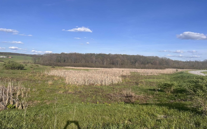 34 Meadow Lark Drive, Bruceton Mills, West Virginia 26525, ,Lots/land,For Sale,Meadow Lark,10159442