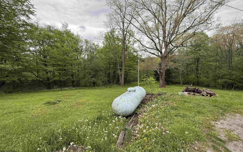4253 Point Mountain Road, Monterville, West Virginia 26282, 3 Bedrooms Bedrooms, 8 Rooms Rooms,1 BathroomBathrooms,Single Family Detached,For Sale,Point Mountain,10159435