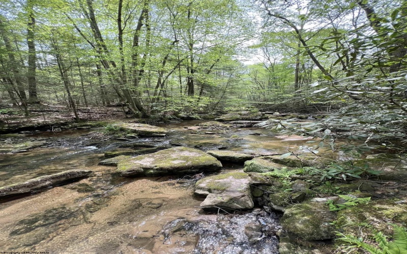 1209 Gaines Road, Rock Cave, West Virginia 26234, 3 Bedrooms Bedrooms, 5 Rooms Rooms,3 BathroomsBathrooms,Single Family Detached,For Sale,Gaines,10159446