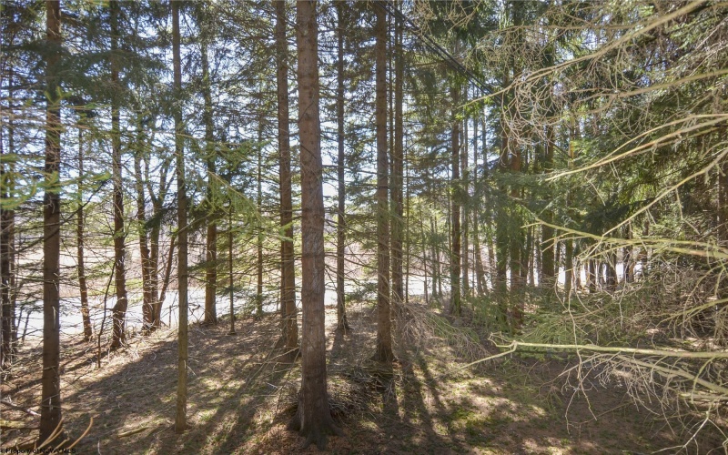 79 Pines Drive, Davis, West Virginia 26260, 2 Bedrooms Bedrooms, 6 Rooms Rooms,2 BathroomsBathrooms,Single Family Detached,For Sale,Pines,10159233