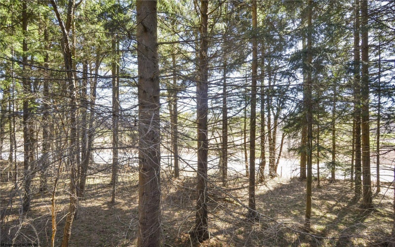 79 Pines Drive, Davis, West Virginia 26260, 2 Bedrooms Bedrooms, 6 Rooms Rooms,2 BathroomsBathrooms,Single Family Detached,For Sale,Pines,10159233