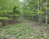 0 Route 65 (RR), Heaters, West Virginia 26621, ,Lots/land,For Sale,Route 65,10159452