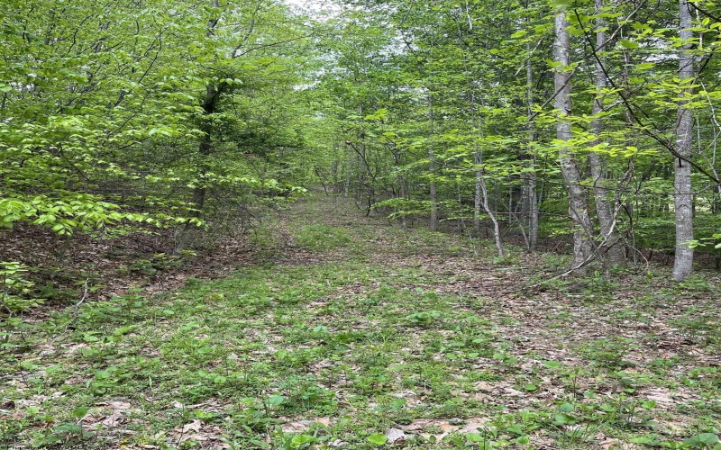 0 Route 65 (RR), Heaters, West Virginia 26621, ,Lots/land,For Sale,Route 65,10159452