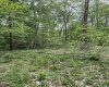 0 Route 65 (RR), Heaters, West Virginia 26621, ,Lots/land,For Sale,Route 65,10159452