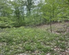 0 Route 65 (RR), Heaters, West Virginia 26621, ,Lots/land,For Sale,Route 65,10159452