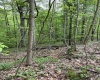 0 Route 65 (RR), Heaters, West Virginia 26621, ,Lots/land,For Sale,Route 65,10159452
