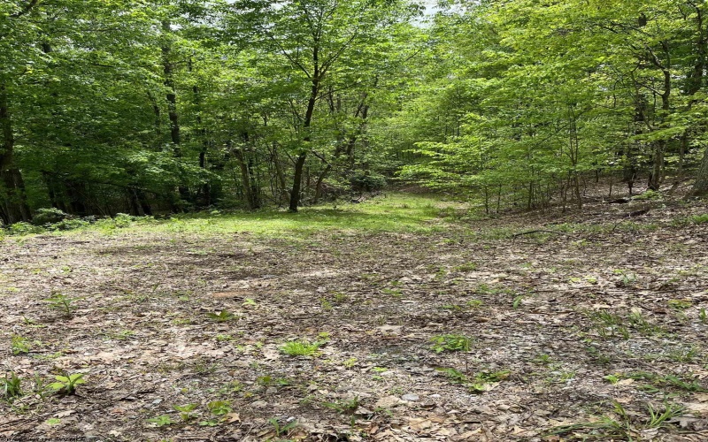 0 Route 65 (RR), Heaters, West Virginia 26621, ,Lots/land,For Sale,Route 65,10159452