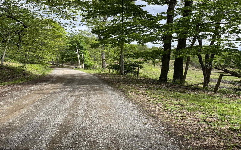 0 Route 65 (RR), Heaters, West Virginia 26621, ,Lots/land,For Sale,Route 65,10159452