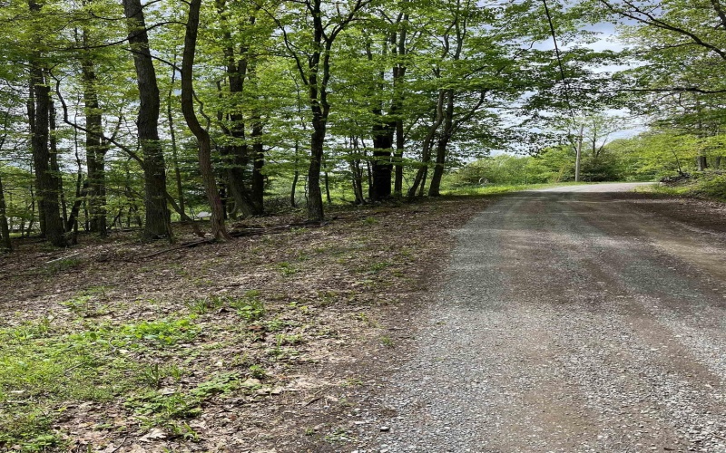 0 Route 65 (RR), Heaters, West Virginia 26621, ,Lots/land,For Sale,Route 65,10159452