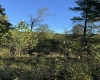 50 Wine Lane, West Union, West Virginia 26456, ,Lots/land,For Sale,Wine,10159453