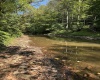 50 Wine Lane, West Union, West Virginia 26456, ,Lots/land,For Sale,Wine,10159453