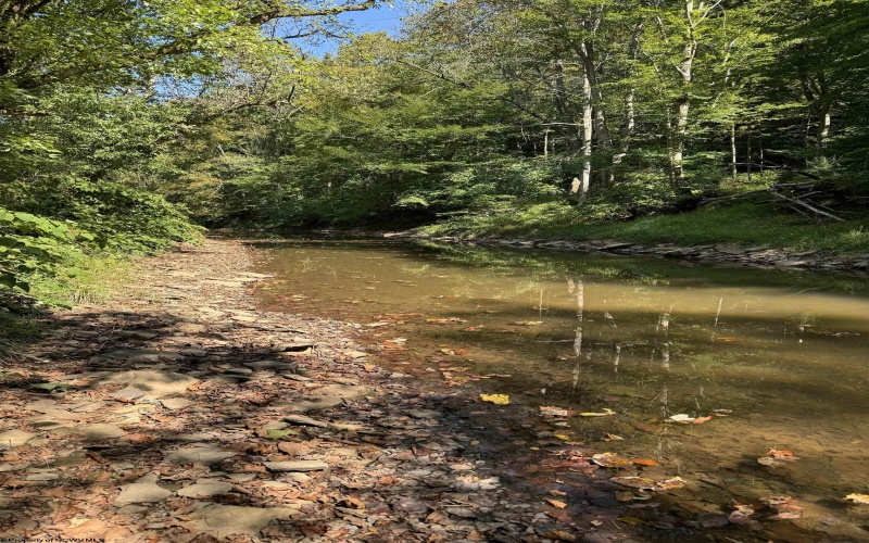 50 Wine Lane, West Union, West Virginia 26456, ,Lots/land,For Sale,Wine,10159453