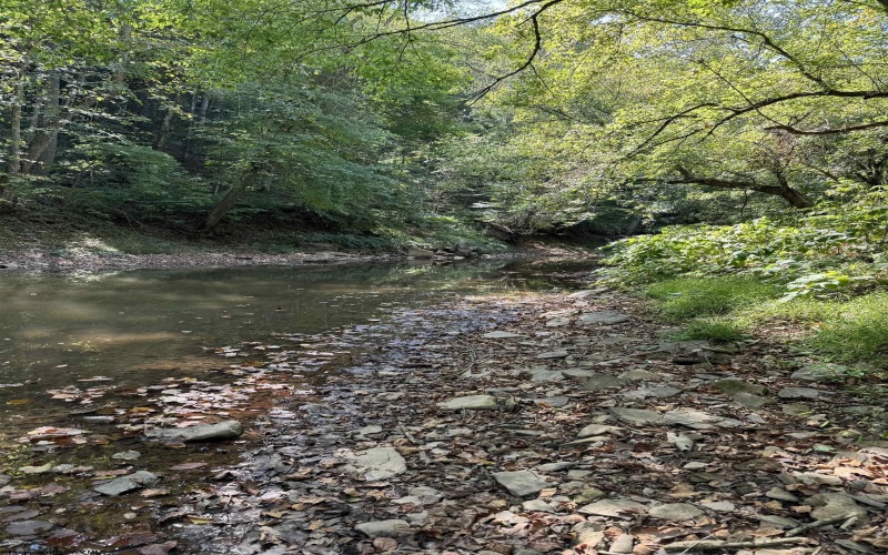 50 Wine Lane, West Union, West Virginia 26456, ,Lots/land,For Sale,Wine,10159453