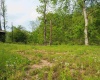 50 Wine Lane, West Union, West Virginia 26456, ,Lots/land,For Sale,Wine,10159453