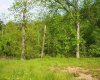 50 Wine Lane, West Union, West Virginia 26456, ,Lots/land,For Sale,Wine,10159453