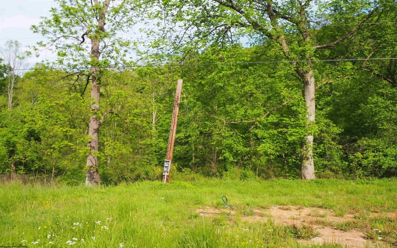 50 Wine Lane, West Union, West Virginia 26456, ,Lots/land,For Sale,Wine,10159453