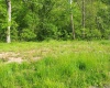 50 Wine Lane, West Union, West Virginia 26456, ,Lots/land,For Sale,Wine,10159453