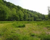 50 Wine Lane, West Union, West Virginia 26456, ,Lots/land,For Sale,Wine,10159453