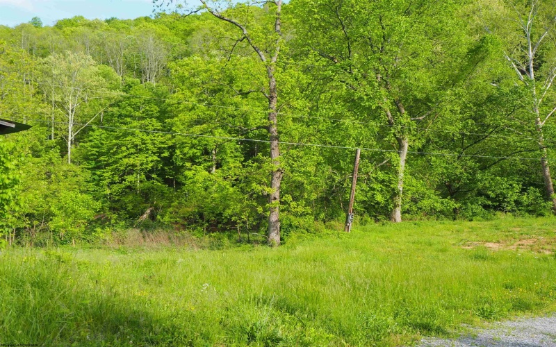 50 Wine Lane, West Union, West Virginia 26456, ,Lots/land,For Sale,Wine,10159453