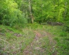 50 Wine Lane, West Union, West Virginia 26456, ,Lots/land,For Sale,Wine,10159453