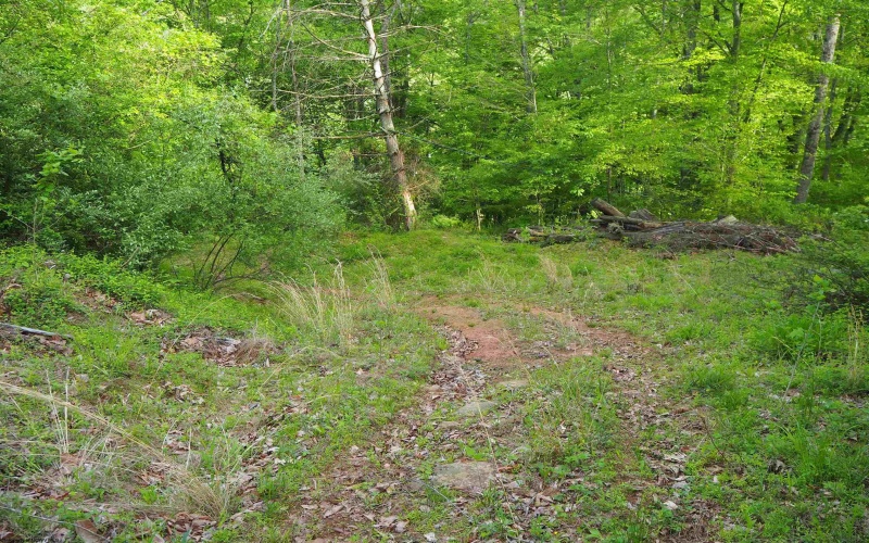 50 Wine Lane, West Union, West Virginia 26456, ,Lots/land,For Sale,Wine,10159453
