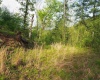 50 Wine Lane, West Union, West Virginia 26456, ,Lots/land,For Sale,Wine,10159453