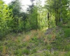 50 Wine Lane, West Union, West Virginia 26456, ,Lots/land,For Sale,Wine,10159453