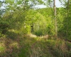 50 Wine Lane, West Union, West Virginia 26456, ,Lots/land,For Sale,Wine,10159453