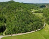 50 Wine Lane, West Union, West Virginia 26456, ,Lots/land,For Sale,Wine,10159453