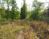 50 Wine Lane, West Union, West Virginia 26456, ,Lots/land,For Sale,Wine,10159453