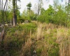 50 Wine Lane, West Union, West Virginia 26456, ,Lots/land,For Sale,Wine,10159453